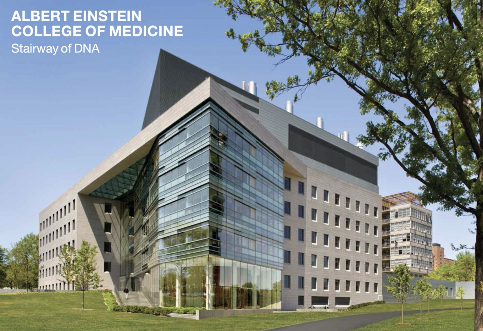 albert-einstein-college-of-medicine-building-drops
